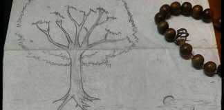 Все что нужно знать о древовидных структурах данных Data Science