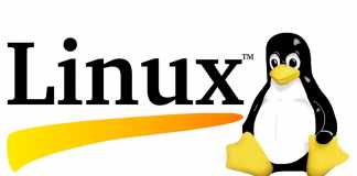 6 месяцев без Windows: ужасная правда об играх на Linux Linux