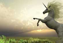 Как составить Data Science портфолио? Часть 1 Data Science