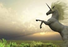 Как составить Data Science портфолио? Часть 2 Data Science