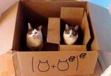 Разворачиваем декораторы. Часть 2 Python