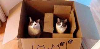 Разворачиваем декораторы. Часть 2 Python