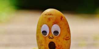 Станьте экспертом в разработке с этими продвинутыми советами по кодированию. Часть 2 Programming