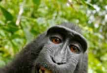 Станьте экспертом в разработке с этими продвинутыми советами по кодированию. Часть 1 Programming