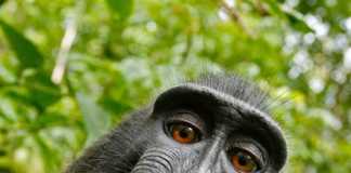 Станьте экспертом в разработке с этими продвинутыми советами по кодированию. Часть 1 Programming