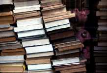 Объясняем Z-index: как позиционировать элементы с помощью CSS CSS