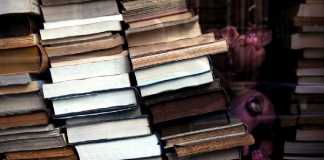 Объясняем Z-index: как позиционировать элементы с помощью CSS CSS