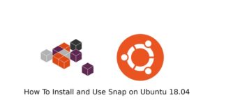 Установка и использование Snap-пакетов в Ubuntu 18.04 Ubuntu