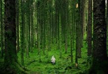 Как бороться с одиночеством в цифровом мире: 10 простых решений Life Lessons