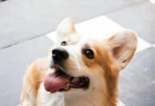 Как создать Telegram бота с помощью Python Python