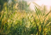 Веб-скрапинг с помощью Node.js — Часть 2 Node.js