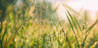 Веб-скрапинг с помощью Node.js — Часть 2 Node.js