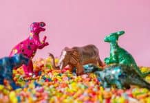 10 программистских терминов на понятном языке Education