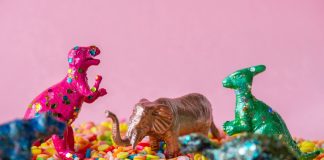 10 программистских терминов на понятном языке Education