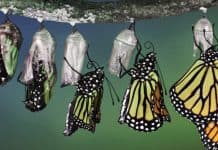 С Kotlin приведение стало еще удобнее Kotlin