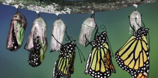 С Kotlin приведение стало еще удобнее Kotlin