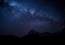 Как создать простую браузерную игру с помощью Phaser 3 и TypeScript TypeScript