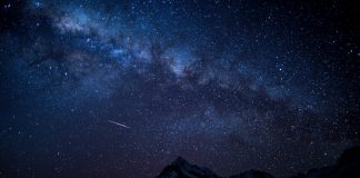 Как создать простую браузерную игру с помощью Phaser 3 и TypeScript TypeScript