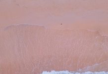 Руководство по машинному обучению для новичков Machine Learning