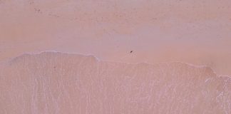 Руководство по машинному обучению для новичков Machine Learning