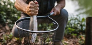 Веб-скрапинг для веб-разработчиков: краткие сведения Web Scraping