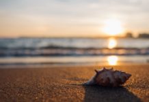 Как прокачать командную строку Linux