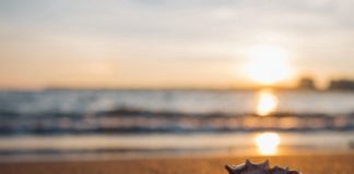 Как прокачать командную строку Linux