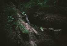 Как создать HTML-таблицу и PDF с Node и Google Puppeteer Node