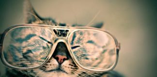 Как создать бесплатный сайт на GitHub Pages GitHub