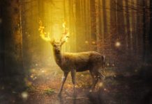 Как легко оптимизировать Jupyter Notebook. Часть 1 Jupyter