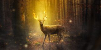 Как легко оптимизировать Jupyter Notebook. Часть 2 Jupyter