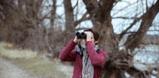 Знакомство с наблюдателями Vue JS Vue