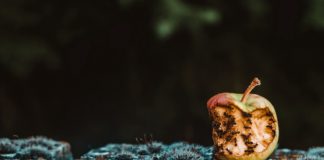 5 вредных привычек неэффективных программистов Self Improvement