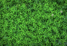 Руководство по использованию регулярных выражений Python Python