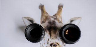 Знакомство с Git и GitHub: руководство для начинающих. Часть 1 GitHub