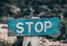 Не используйте for при переборе массивов Java Script