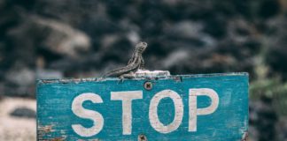 Не используйте for при переборе массивов Java Script