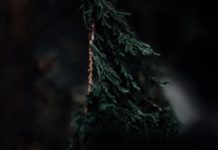 Как вернуть былой энтузиазм к программированию Education