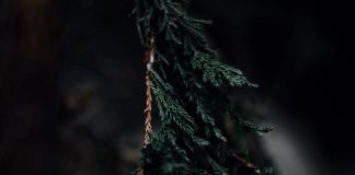 Как вернуть былой энтузиазм к программированию Education