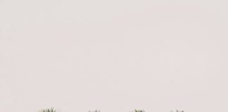 JavaScript: как удалить значения из массива Java Script