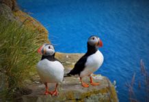 Лучшие практики JavaScript: объекты Java Script