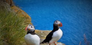 Лучшие практики JavaScript: объекты Java Script