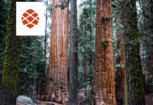 Взгляд на RedwoodJS RedwoodJS