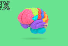 10 шаблонов поведения для UX-дизайна UX Design