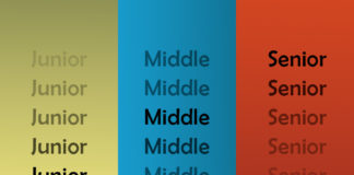 Как достичь уровня senior-разработчика Education