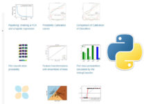 Пошаговое построение логистической регрессии в Python Python
