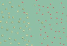 Метод опорных векторов: примеры на Python Python