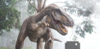 Как создать полезную офлайн-страницу для веб-приложения Web Development