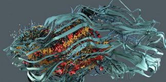 Креативное программирование: методы и инструменты для JavaScript, Python и других языков Креативное программирование: методы и инструменты для JavaScript, Python и других языков