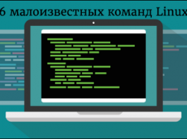 Выход из тени: 6 малоизвестных команд Linux